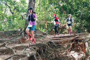 BIB: 
                            <button type="button" onclick="openModal(27719346)" class="btn btn-primary btn-sm float-right btn-popup" data-toggle="modal" data-target=".modal-high-quality">
                        <i class="fas fa-shopping-cart"></i> Add to Cart
                    </button>
                                            <button type="button" onclick="isThisMe(27719346, true)" class="btn btn-success btn-sm float-right btn-popup btn-isme hidden" data-toggle="tooltip" data-placement="bottom" title="นี่คือรูปของคุณใช่ไหม คลิกที่นี่เพื่อเอาเข้าอัลบั้ม">
                        <i class="fas fa-plus"></i> Add to album
                    </button>
                    <button type="button" onclick="isThisMe(27719346, false)" class="btn btn-warning btn-sm float-right btn-popup btn-isnotme hidden">
                        <i class="fas fa-ban"></i> Remove from album
                    </button>